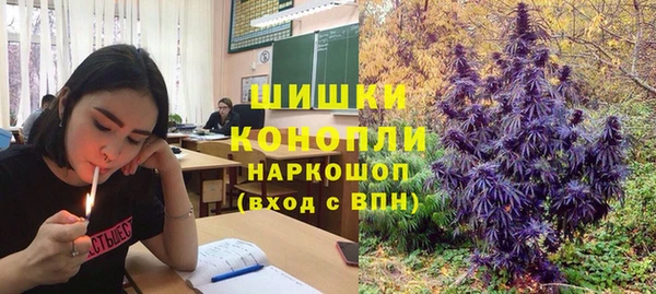 трава Горно-Алтайск