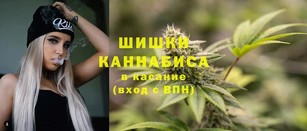 трава Горно-Алтайск