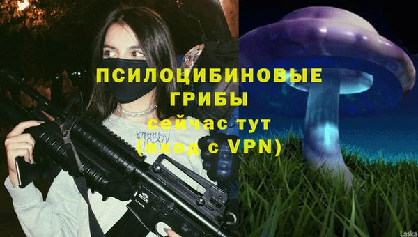 2c-b Горнозаводск