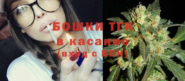 2c-b Горнозаводск