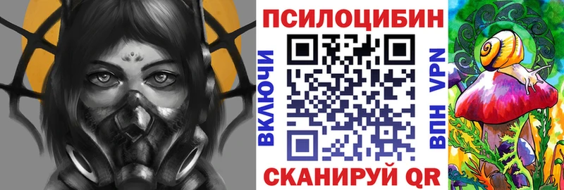 Псилоцибиновые грибы Psilocybine cubensis  ОМГ ОМГ tor  Крым  купить наркотики цена 